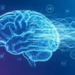 OpenAI Investit dans Merge Labs de Sam Altman